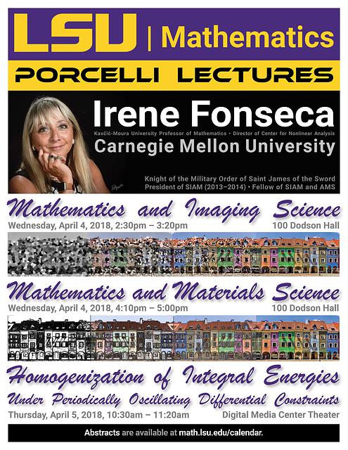 Irene Fonseca Porcelli Lectures 2018