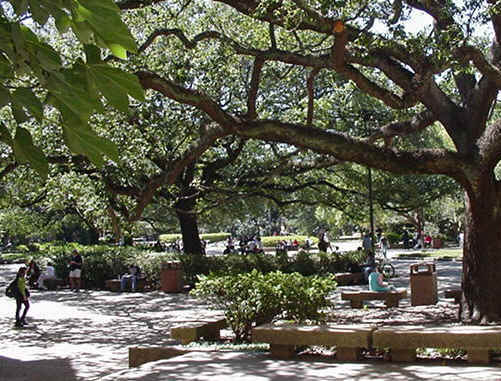 Library Quadrangle