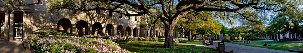 LSU campus