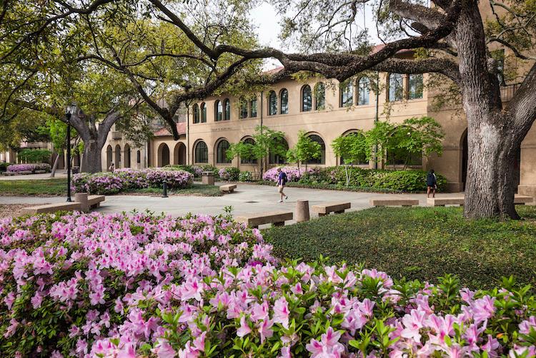 lsu campus