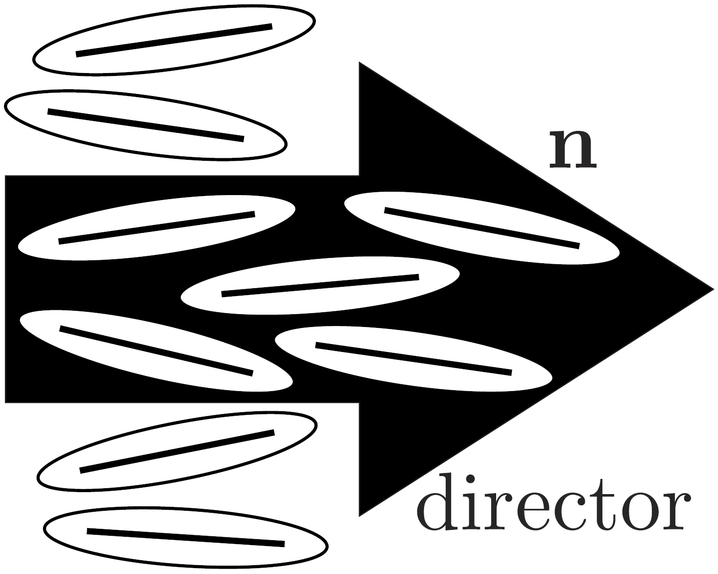 LC Molecule Vector/Arrow